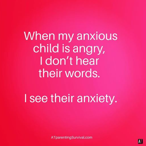 parenting the anxious child with love image